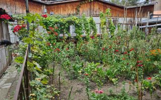 Proprietate individuala-3 apartamente,spatiu comercial,garaje,gradina,curte - Poză 10