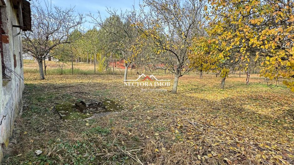 NECTORA IMOB-Teren cu livada matura+Anexa racordata la trifazic,9162mp - Poză 3