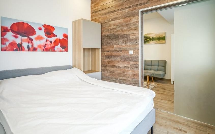 2 rooms apartment for rent | Herastrau-Aviatiei | Parking | Pet friendly - Poză 8