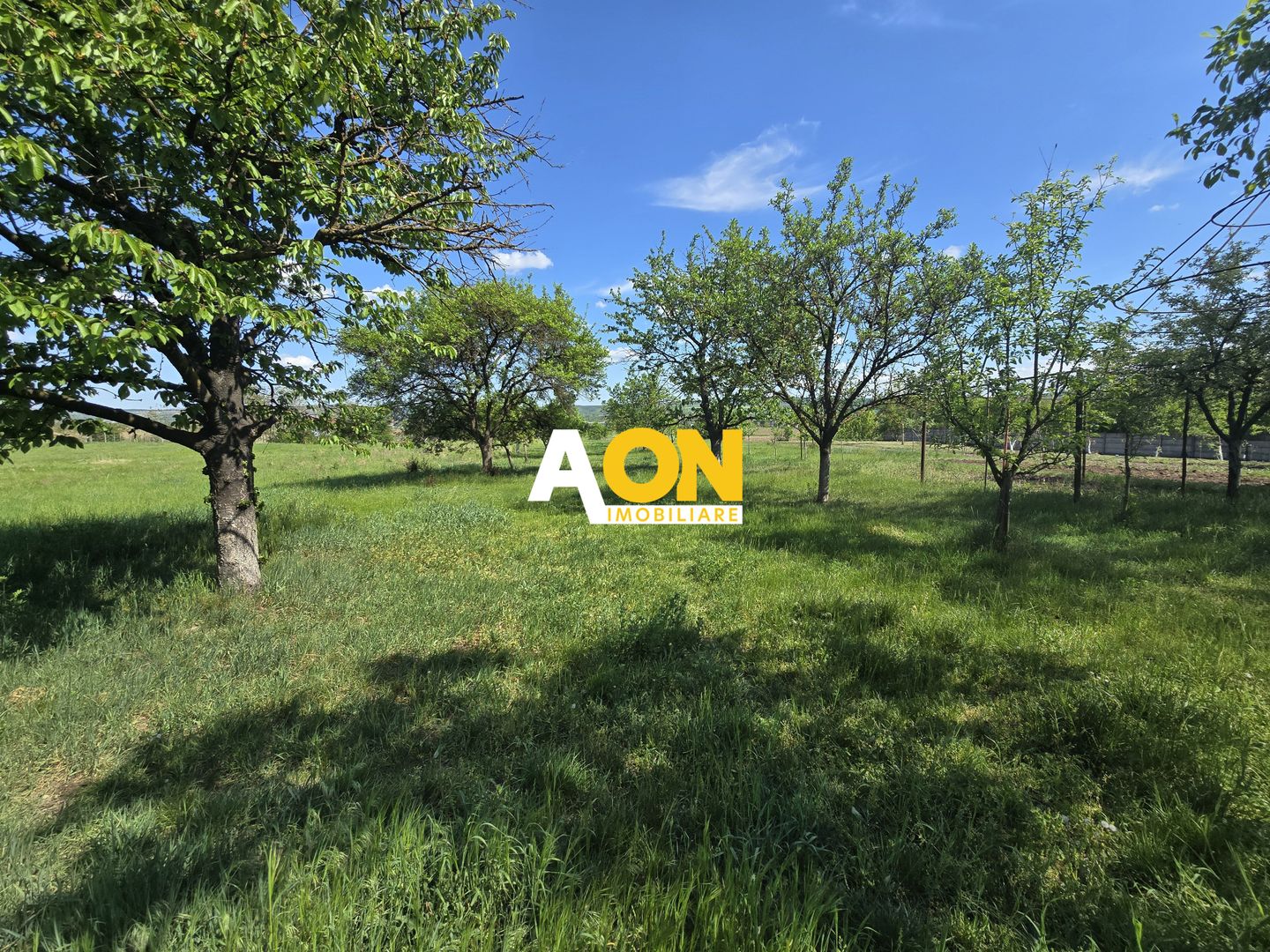 Casa Individuala, 4 Camere 1500mp Teren, Partos - Poză 16