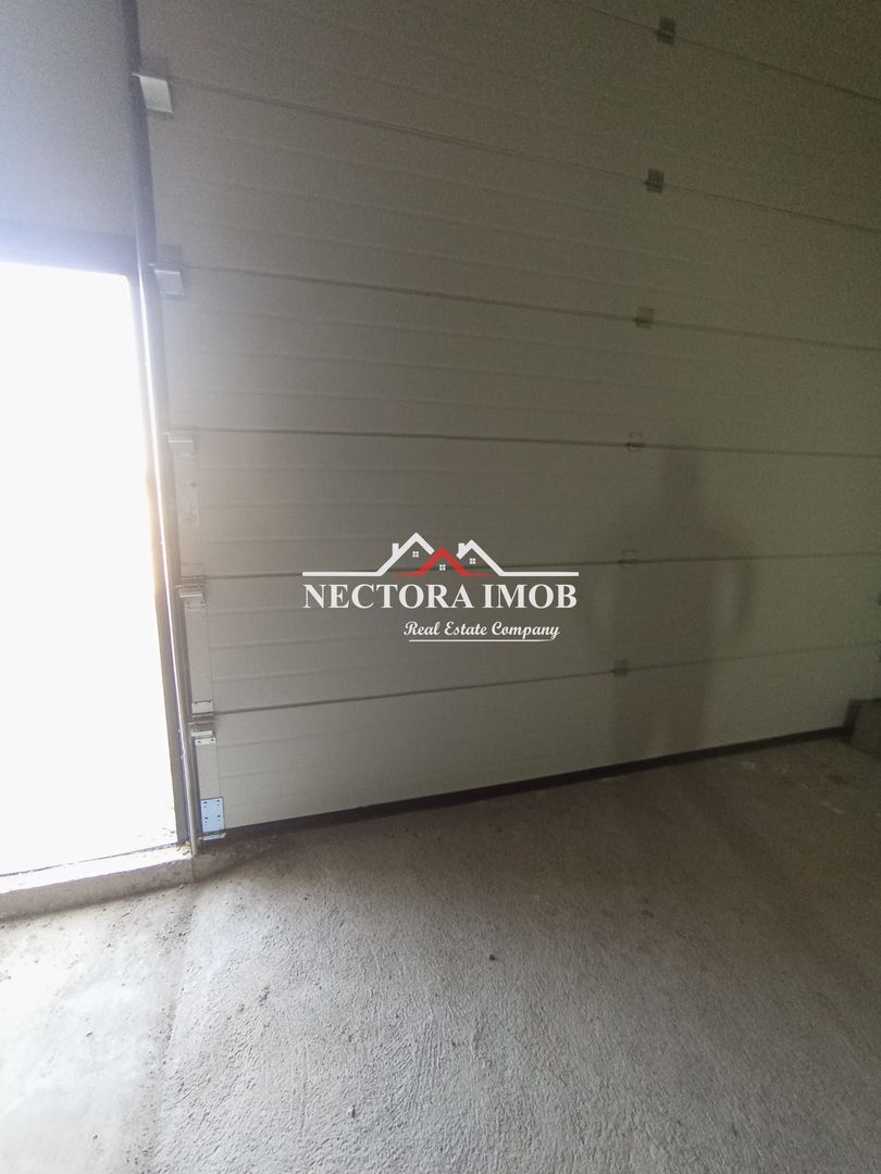 NECTORA IMOB-4 hale industriale noi, Zona Livada de Bihor, Curte mare - Poză 4