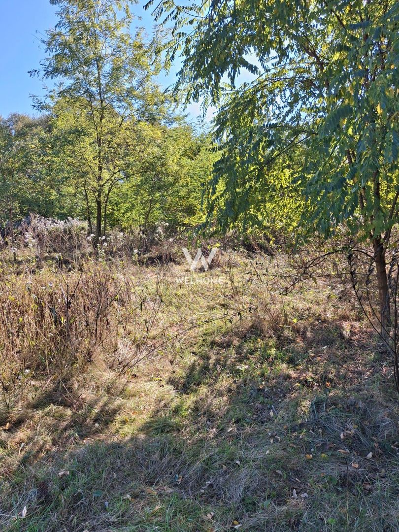 Teren de vanzare Cisnadioara - Poză 3