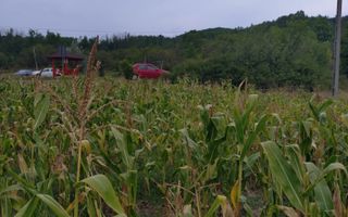 Teren extravilan 1.440 mp I Ladesti -Valcea - Poză 3