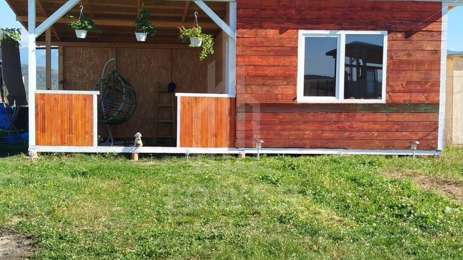 Grădină 862 mp cu cabanuta și pomi fructiferi – între Tălmaciu și Sadu - Poză 4