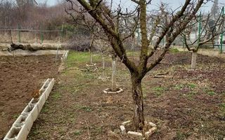 Casa individuala de vanzare cu teren - Poză 3