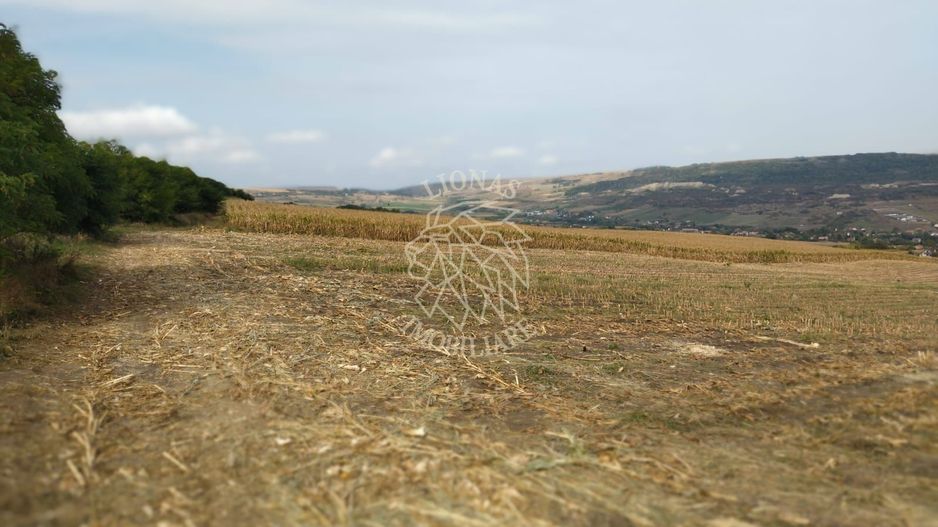 3 Parcele in Zona Fanate-oportunitate unica de investitie-Cluj-Napoca - Poză 1