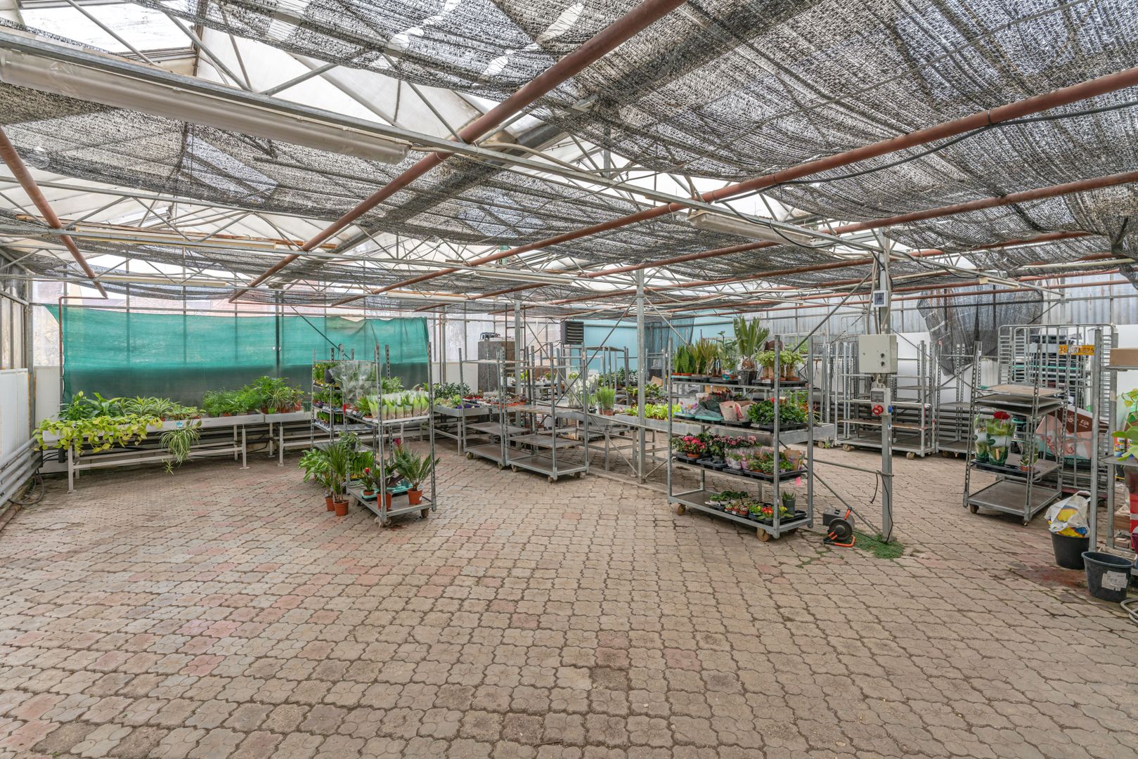 CASA BARTOLOMEU- sediu firma/ comercial/ servicii- zona circulata - Poză 9