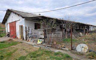 2 Hale pt.depozitare sau productie, 6100 teren, Lunca Muresului - Poză 5