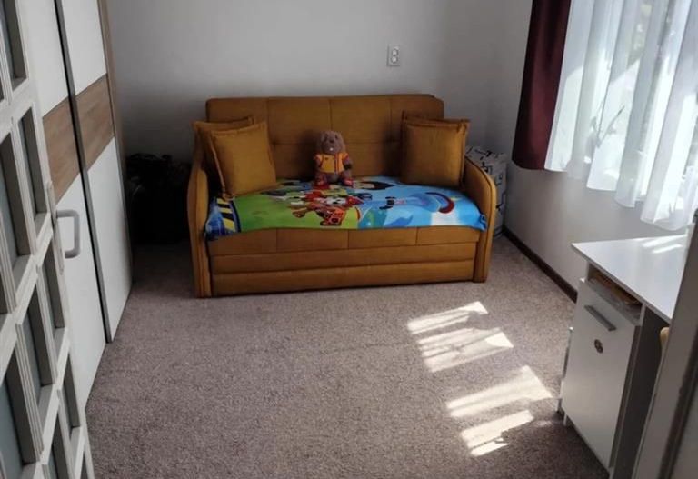 Apartament 2 camere zona Sinaia - Poză 4