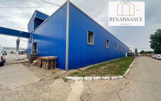 3 Hale Clasa A | 11.250mp Construiti 25.450mp Teren | Freidorf - Poză 12