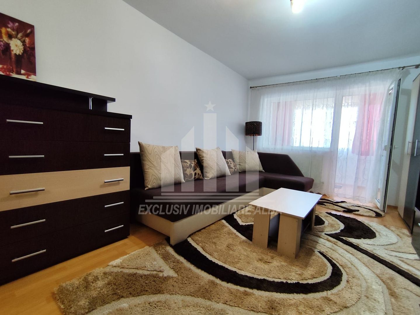Apartament cu 2 camere de vanzare, Cetate - Poză 2