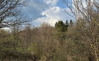 Casă de vânzare în Alțâna | teren 831 mp | poziție centrală - Poză 7