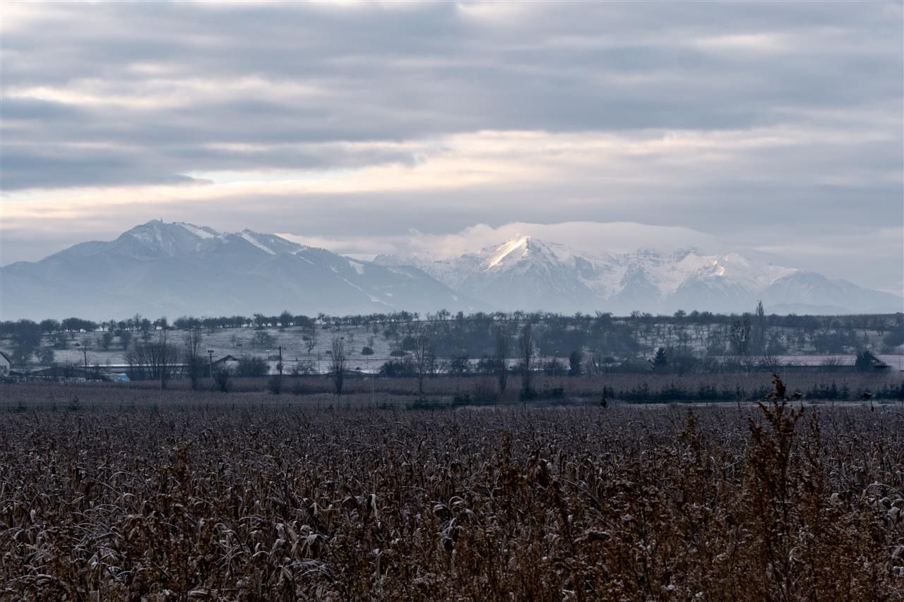 5.000 mp, teren extravilan, conditii apreciabile, Bod, Brasov - Poză 4