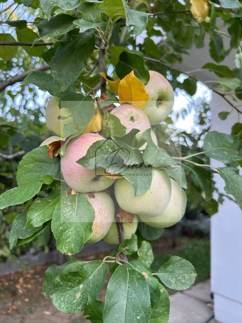 Vila de vanzare in Tunari I Gata de mutat I 4 camere I 5 parcari - Poză 54