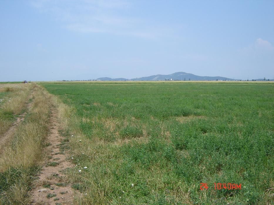 Teren extravilan Prejmer - Poză 3