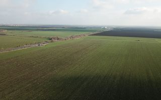 TEREN INDUSTRIAL/COMERCIAL BECICHERECU MIC - Poză 5