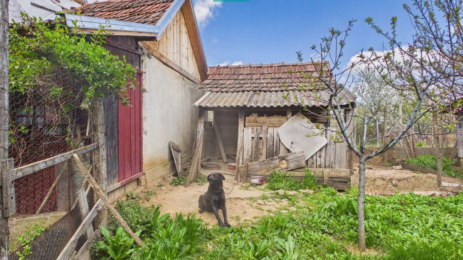 Casă cu teren 1.151mp la 25 km de Oradea, Sisterea - Poză 18