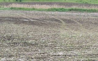 Teren intravilan 1000 mp cu utilitati-ideal casa P+2E-Sarata - Poză 2