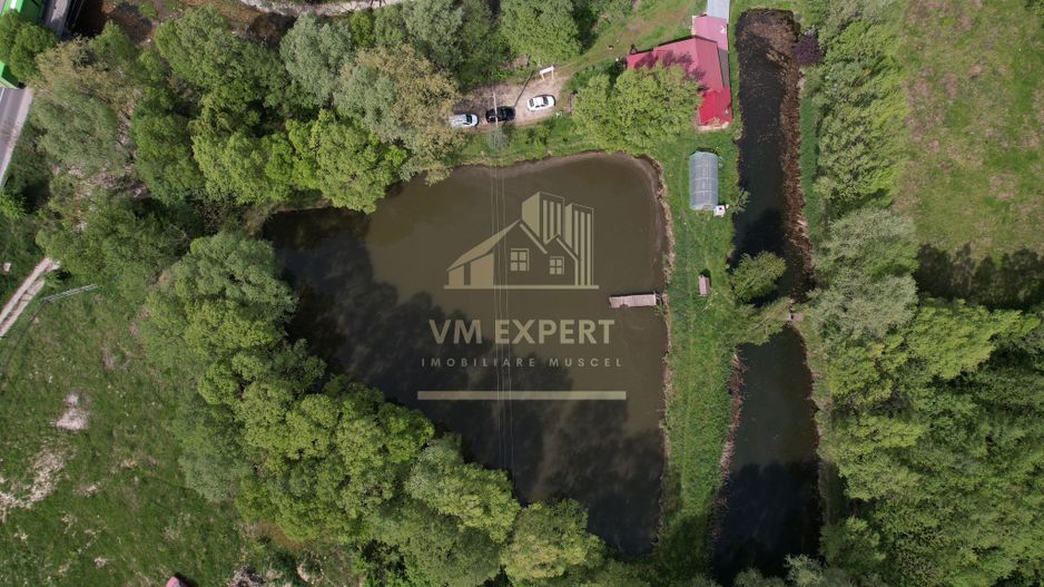 CASA 3 CAMERE, TEREN 6200 MP + 2 LACURI, CAMPULUNG, NAMAIESTI - Poză 19