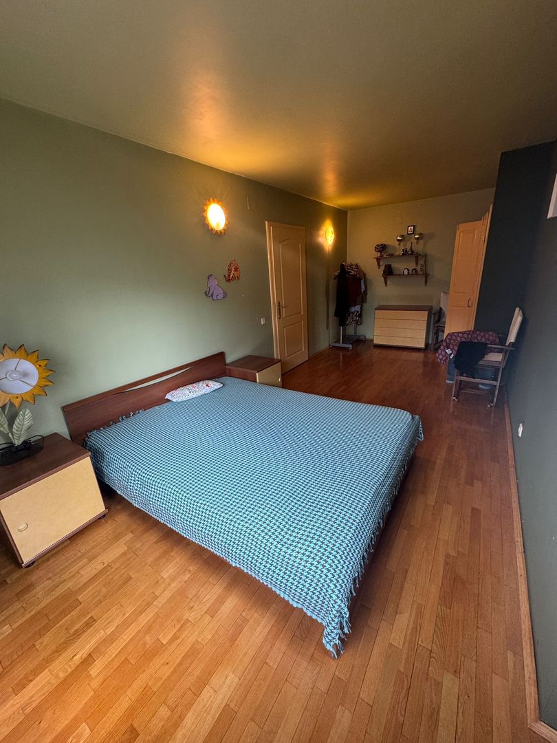 Casa de închiriat 7 camere Sector 4, ideal pentru clinica, gradinita - Poză 33