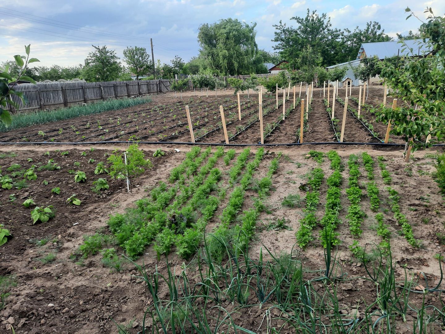 Casa Parter+Pod 90 mp+anexa 60 mp + atelier + teren intravilan 1600 mp - Poză 45