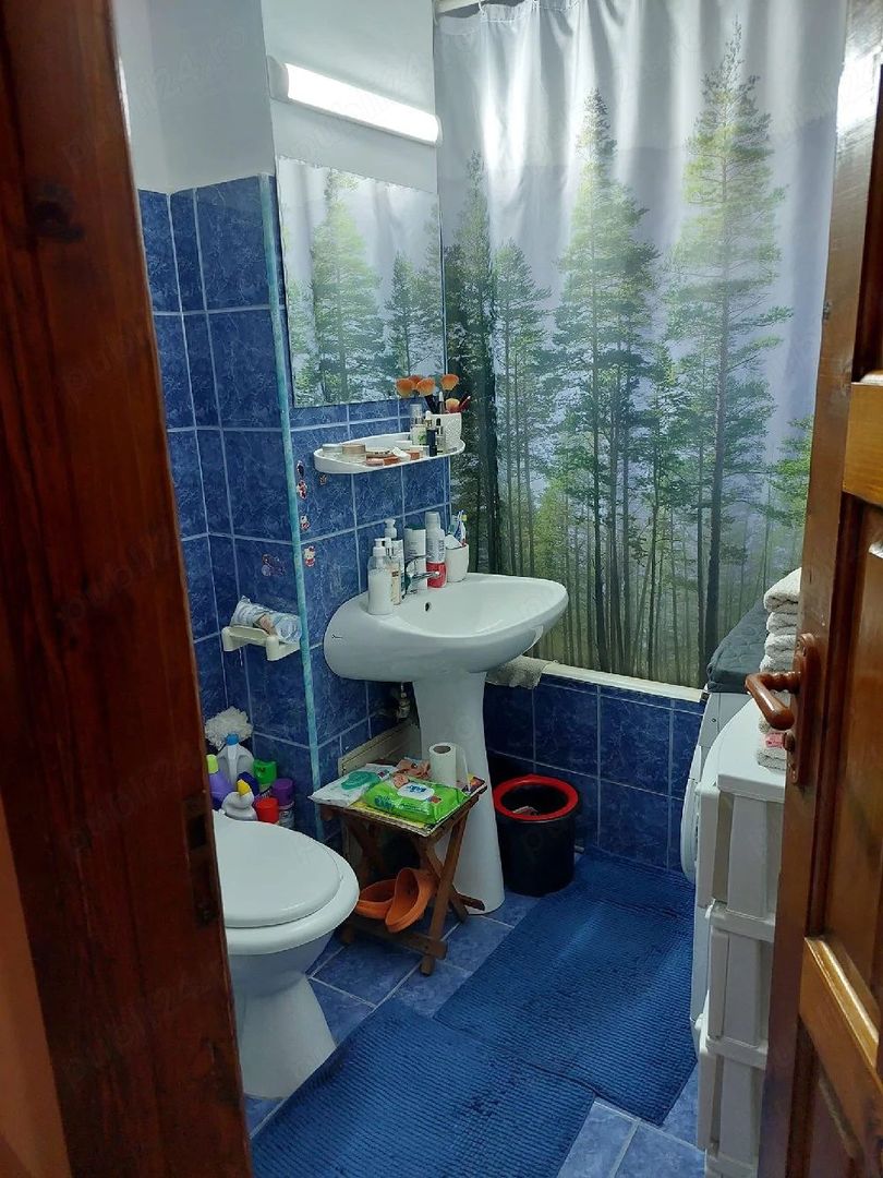 Apartament  2 camere decomandat-Zona Lipovei-Parter - Poză 8