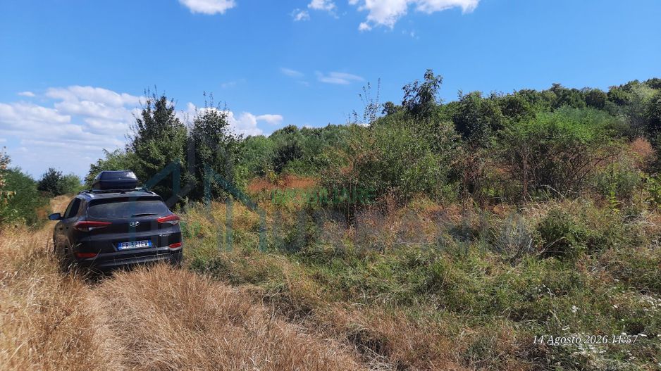 Teren 10.000 mp în Tomesti, zona Vladiceni – oportunitate de investiție - Poză 1
