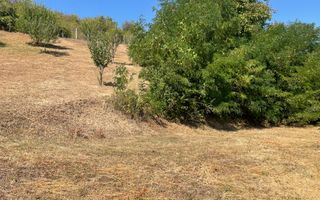 Teren intravilan 2700mp-ideal case-panoramic-Viisoara-Exclusivitate - Poză 7