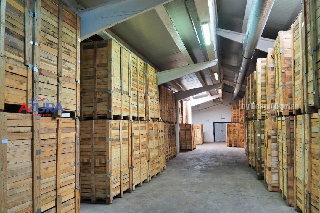 COMISION 0% - HALE Calinesti Arges - Poză 55