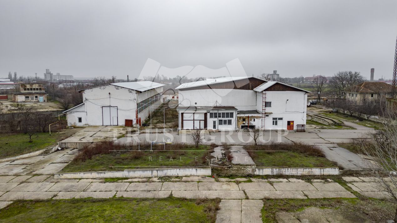 Teren 28.788m + Hale industriale + Sediu Firma - Poză 16