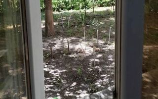 Apartament de inchiriat cu 3 camere/ 60mp/ zona Podu Ros - Poză 7