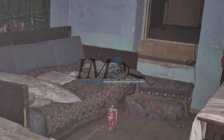 Casa batraneasca de vanzare in Tartaria - Poză 3