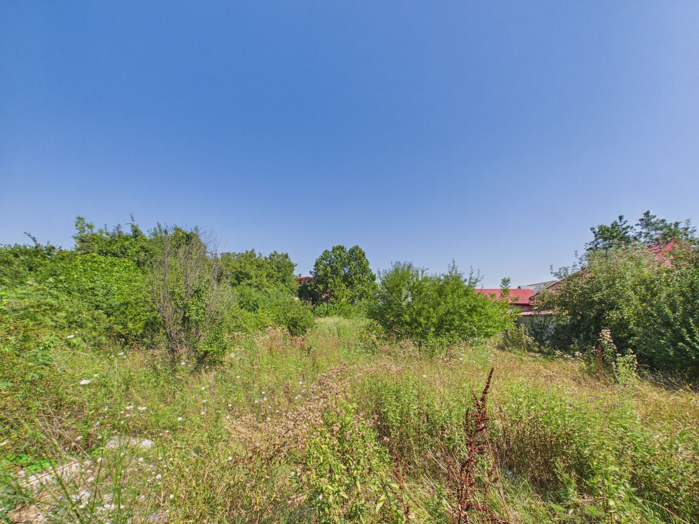 TEREN intravilan sos.Magurele– 1.000 MP | D =25 ML | Toate utilitatile - Poză 3