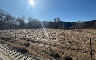 TEREN INTRAVILAN 5000MP, LERESTI, ARGES - Poză 4