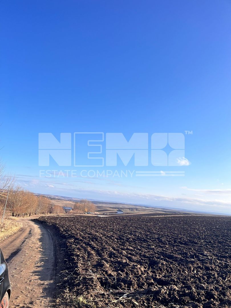 Teren I Suceava I Moara Nica I 2500 Mp I 54.900 Euro - Poză 2