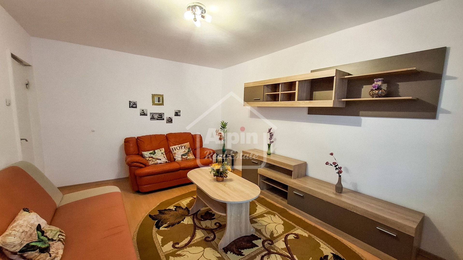 Suprafata Generoasa I Zona Gemenii - Poză 17