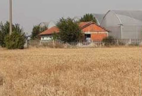 spatiu industrial Uivar Timis - Poză 1