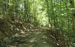 Terenuri Carpinis I parcelabil I Curent pe proprietati - Poză 43