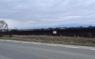 Teren 50000mp Extravilan-Intrare Halchiu-Cod 5235 - Poză 2