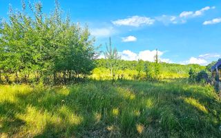 Teren intravilan construibil 3.500 mp Păcureți | UTR 6, P+2, POT 30% - Poză 2