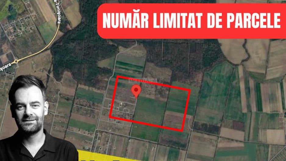 Terenuri Premium lângă Pădurea Bistra – Oportunitate Limitată - Poză 1