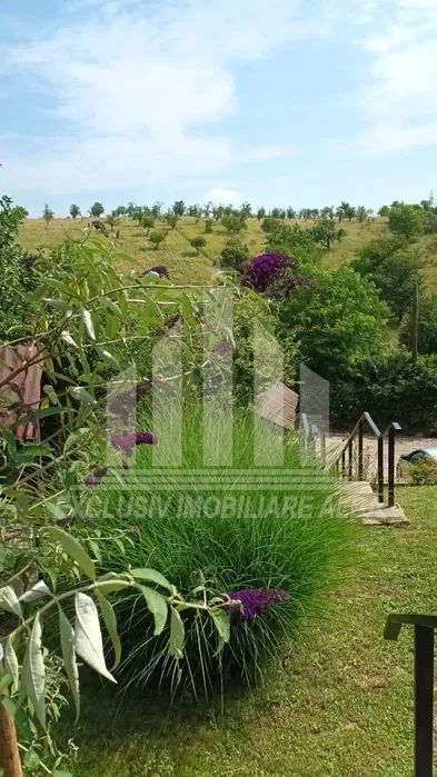 Casa individuala de vanzare, Cetate - Poză 2