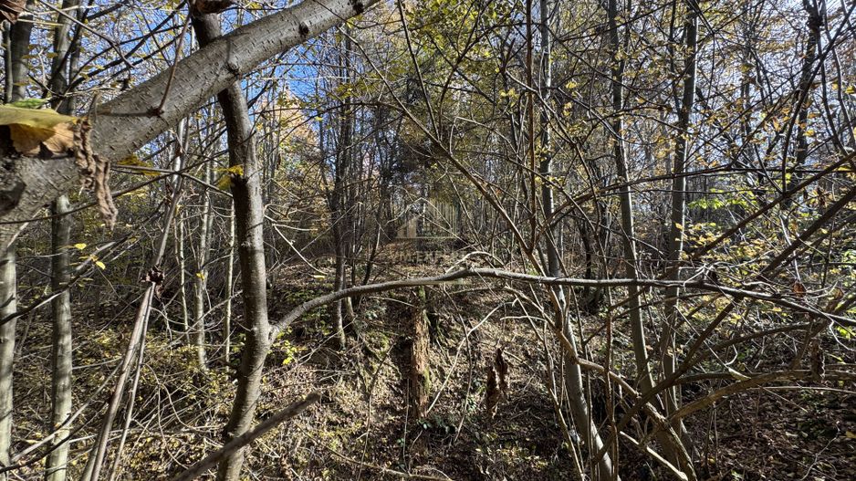 TEREN INTRAVILAN 13167 MP BUGHEA DE SUS ARGES - Poză 16