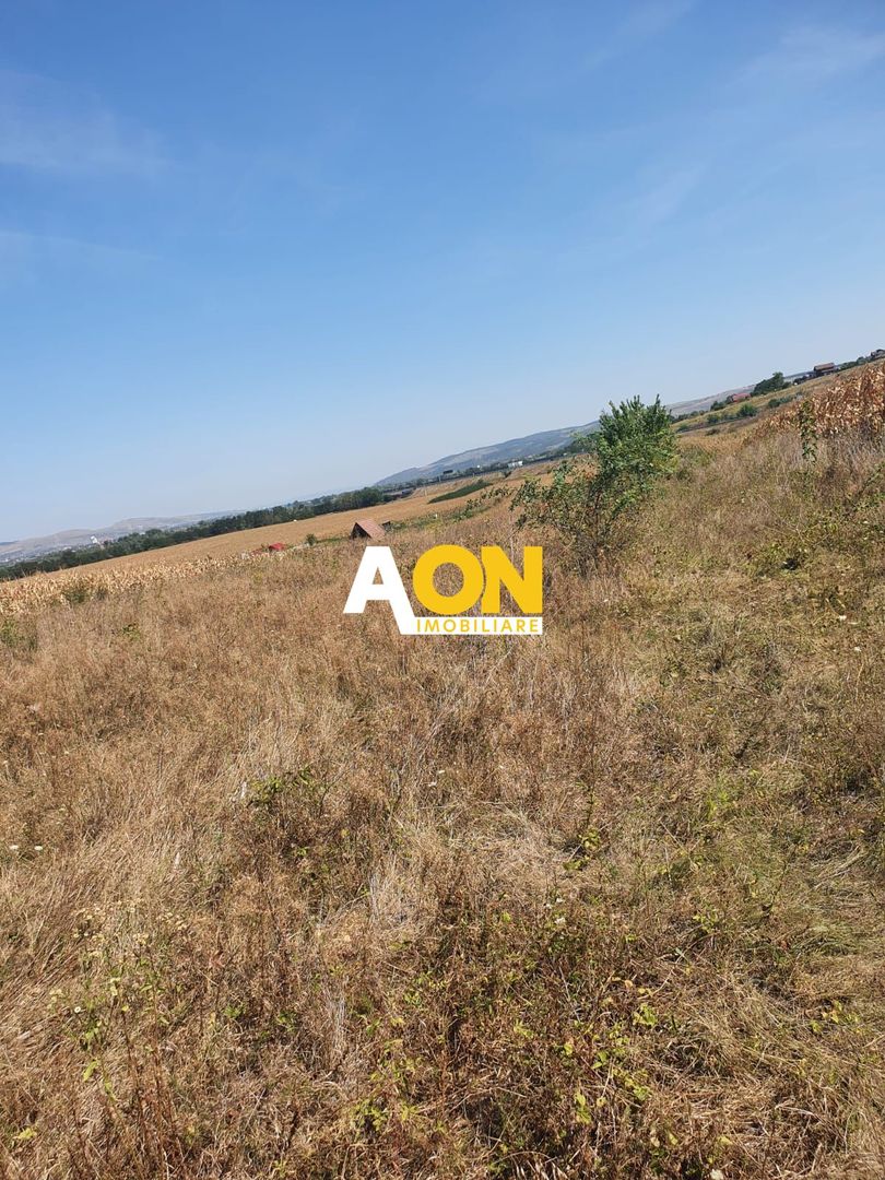 Oportunitate investitie. Oarda de Jos, 16 parcele de 490 mp - Poză 3