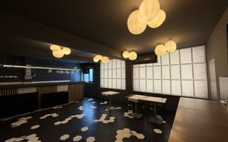 OPORTUNITATE VANZARE - INCHIRIERE VILA RESTAURANT | GRADINA ICOANEI | - Poză 24