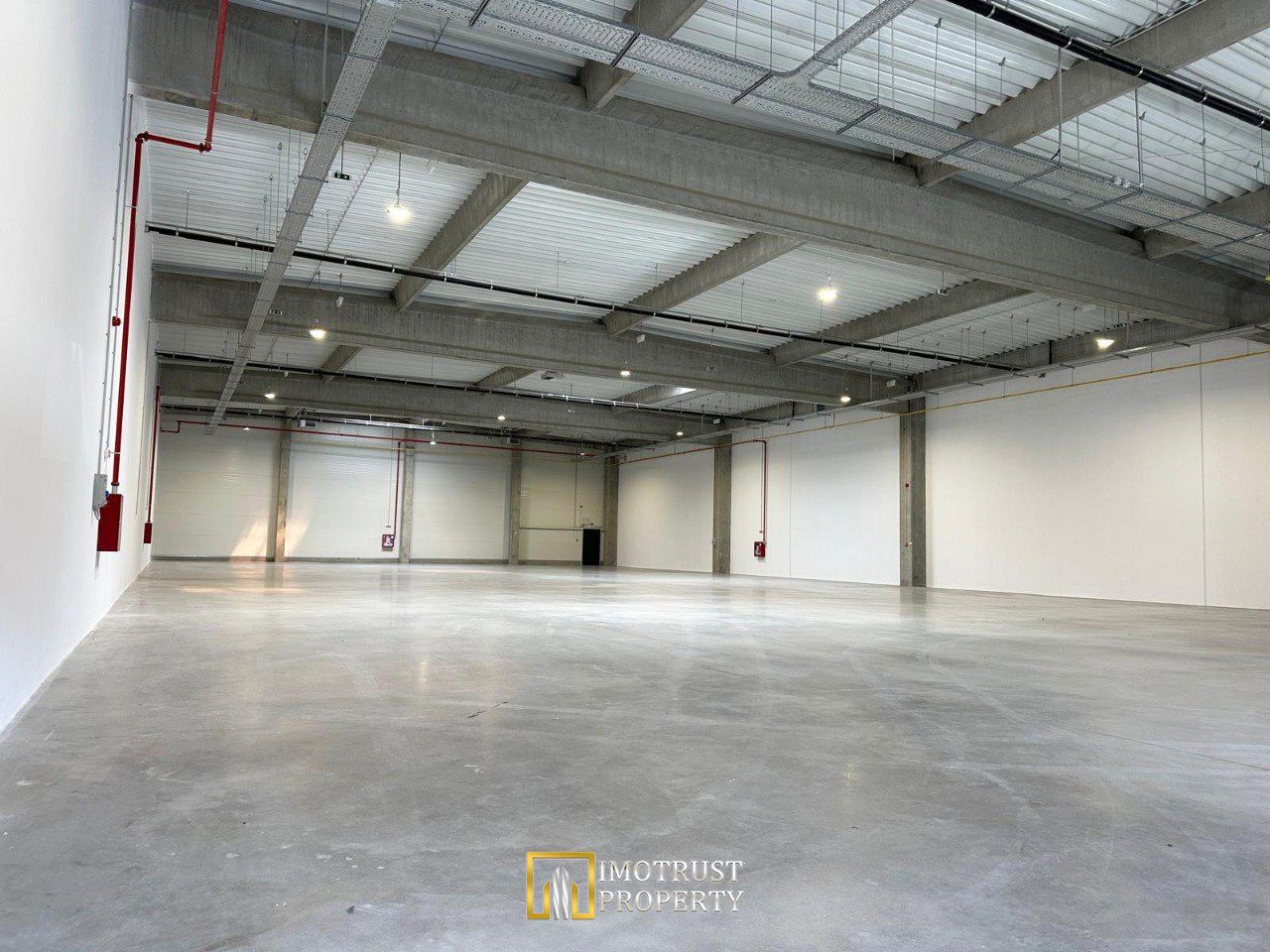 Hala industriala moderna – 1.162,05 mp depozit | Arad - Poză 4