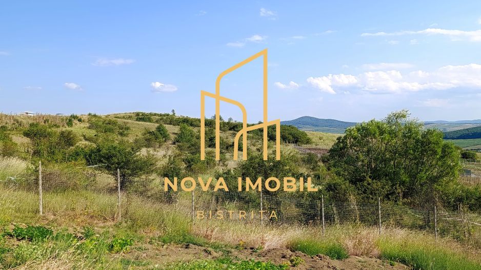 Teren extravilan parcelat Valea Budacului - Poză 3
