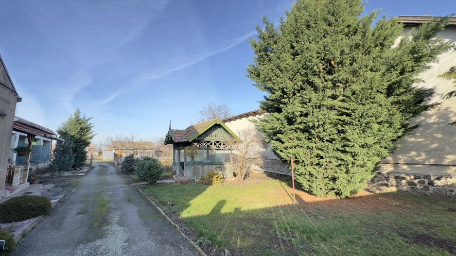 Casă 4 camere cu Teren 2.974 mp | Rezidență sau afacere | Carei - Poză 2