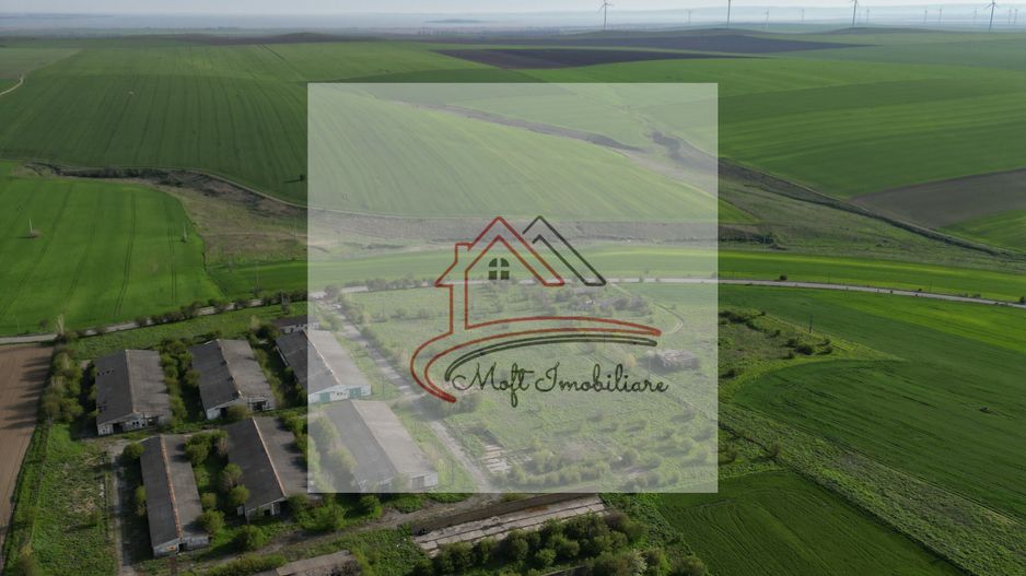 Oportunitate Investiție – Fermă 9,5 Ha cu 10.000 mp Construcții - Poză 3