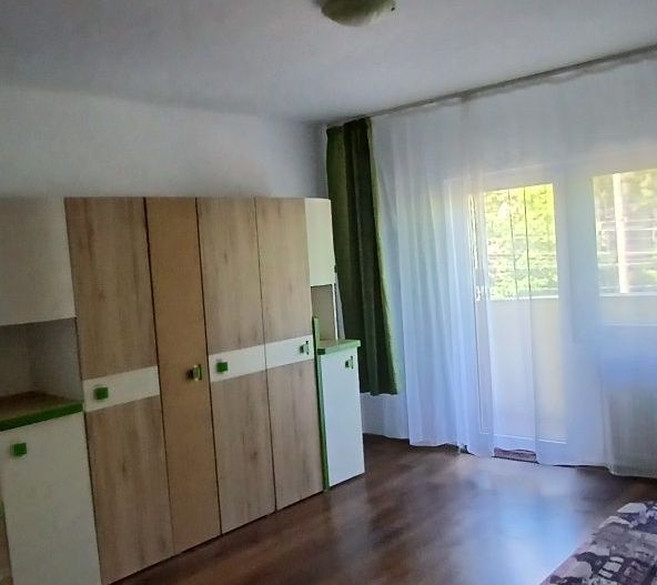 Aradului | 1 Camera | Etaj 1 | Bloc Izolat - Poză 4